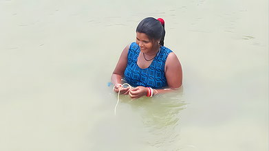Village women net fishing in Village Pond   Lots o