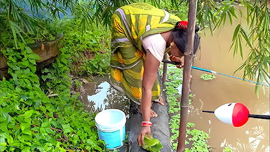 Village Women New Net fishing video 1