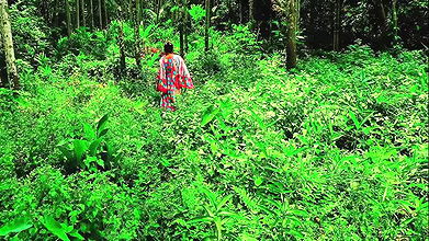 Neighbor Big Sister Jungle Fucked