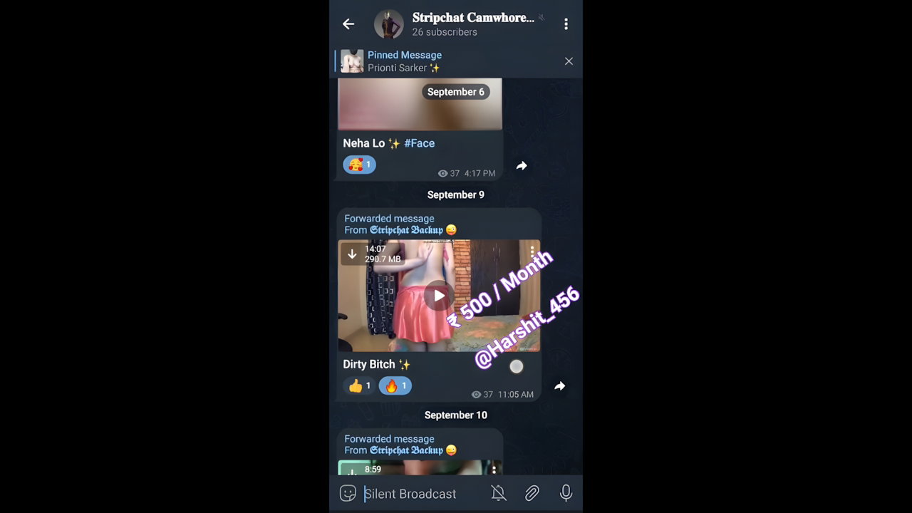 Indian Sex MMS Leaked – Hot Desi Girl Private Show