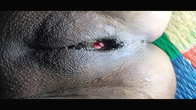 Audio Hindi romance and sex with rustic country aunty