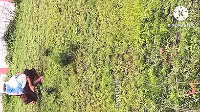 Marathi girls’ friend takes him on a tour of village