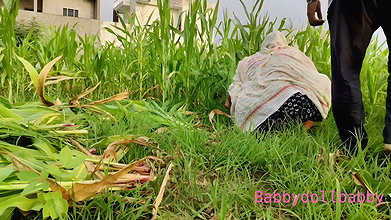 Poor Girl getting Fucked while cutting fodder in the fields