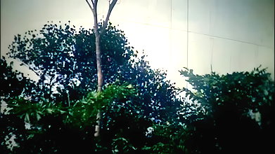 bengali movie old b-grade song -5