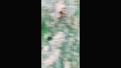 VID-2024702-BR247101