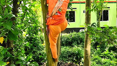 Called from the forest ,the neighbor climbed on top of me & fucked me