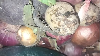 Stepfather fucked by stepmother Family Desi Hot cock in Desi pussy