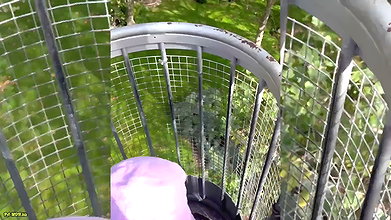 bunny rabbits Wildlife Park und eine eine tiefe Kehle