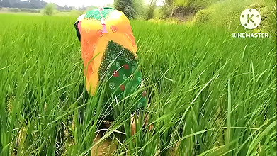 Indian Girls And Desi Lover made A Fuck sex Hinde Audio