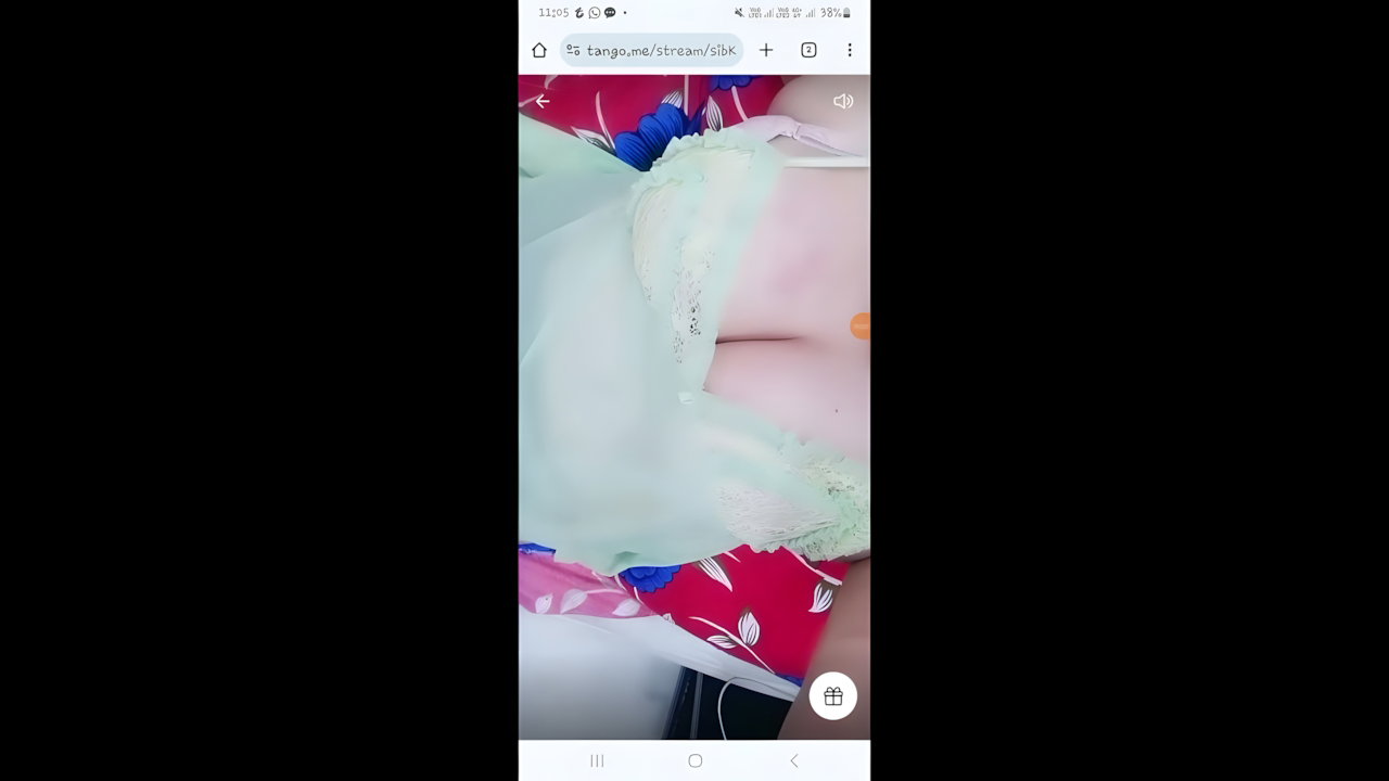 Indian Sex M游戏副本 New Tango Collection – 984