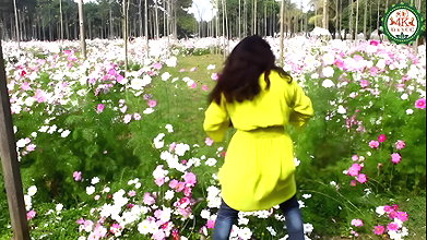 VID-20181228-WA004176