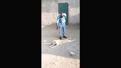 random african black fucking video (654)