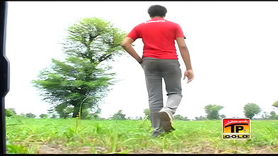 Random pk mujra fucking videos-132