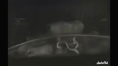 Random pk mujra fucking videos-103