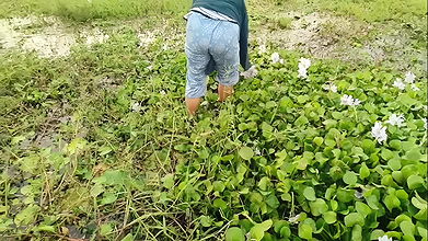 He called her from outside and had sex with the neighbor