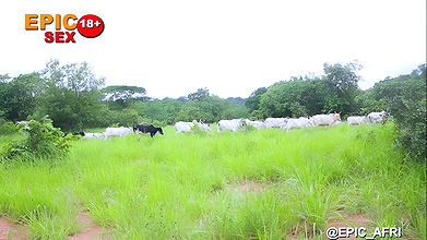 Muslim herdsman makes love to two innocent girls in the forest