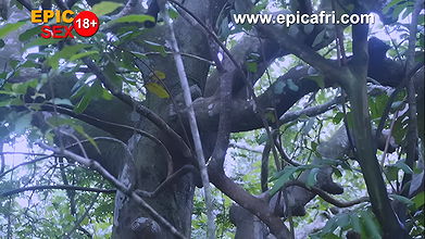 The goddess of love fucks and squirts