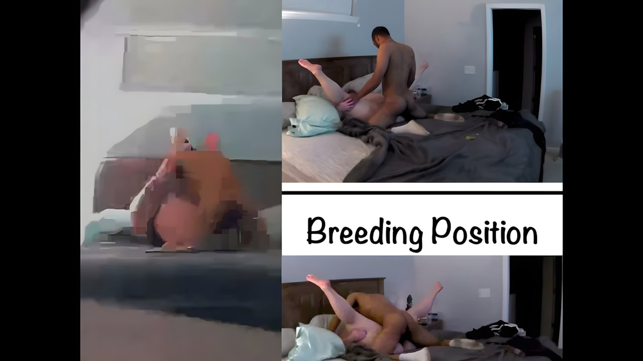 Bull Pounds My Married Pussy Indian Sex MMS