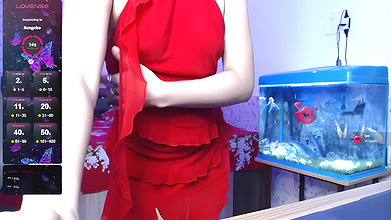 Stripchat-Public.Show-f-Miss_Sugar143-2024.06.12.003308