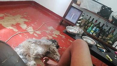 Seduced My Desi Stepmower by Flashing My Dick Indian Sex MMS