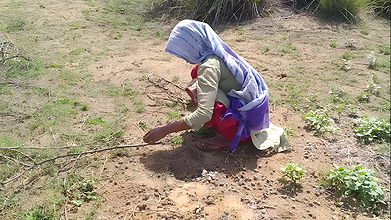 gave the pleasure of sex with hot sister-in-law to my younger sister’s future husband. He put a condition in front of me that i