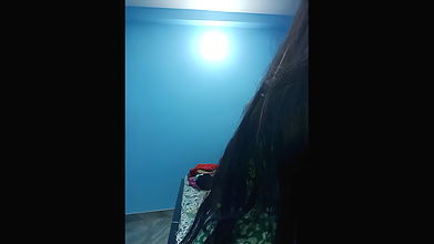 Stripchat-Public.Show-f-Hotty_sonia36-2024.08.22.030120