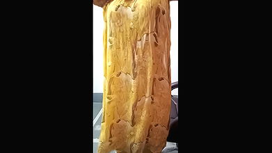 Stripchat-Public.Show-f-Payal-jaaan-2024.06.16.092900