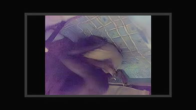 bhabhi mid night sex with hubby