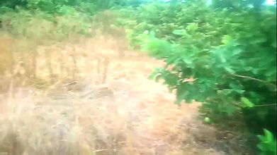 Aunty with Boy Motor Pumb Set Room in Sex