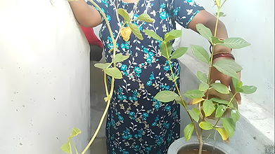 Indian Tamil Village Beauty Aunty Sex