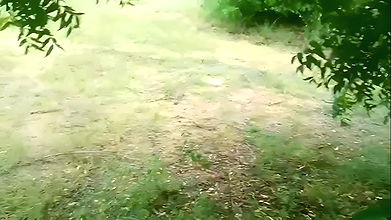 Indian Village Farming Couple Having Sex