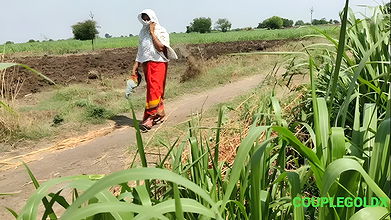She Was Openly Washing Her Pussy in the Sugarcane Field