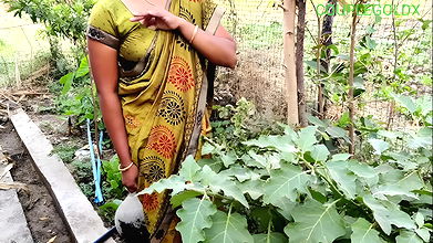 Gentle Master Is Coming Maybe Get Dressed Quickly and Run