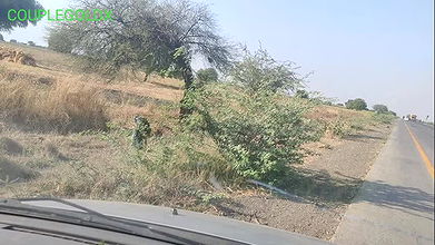 A Girl Was Urinating on the Road, Called Her Into the Car and Hit Her