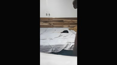 Tamil husband and wife deep fuck in sitting position