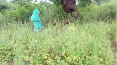 Indian Desi Bhabhi and Young Boy Forest Jungle Sex Videos in Hindi – Collage Girl Sex