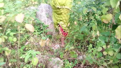 The Labourer Boy and Girl Working in the Field Went to the Jungle