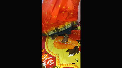 Village Bhabhi’s Sex Video Indian Village Aunty’s Sex Video