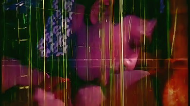bengali B-grade Movie song – 338