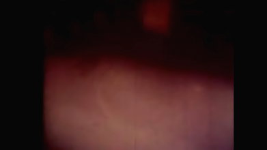 bengali B-grade Movie song – 19