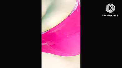 Youtuber Antra vlogs