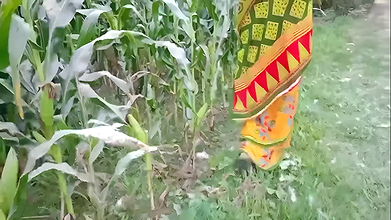 ..Desi Hindi aunty sex