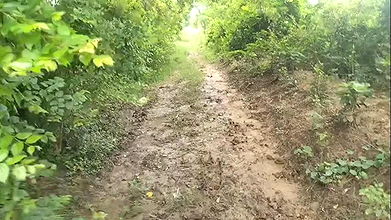 In the Jungle with Sister-in-law