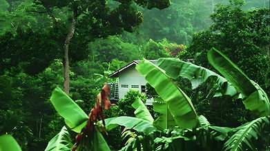 Bujna mamuśka macocha z ogromnymi dużymi piersiami skaczącymi i odbijając jej duże cycki na moim kutasie