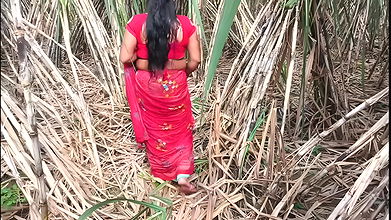 My stepmother in the sugarcane farm