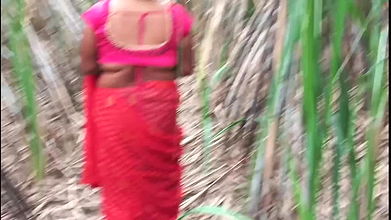 My stepmom and me sugarcane field me Desi Village Video Samastar