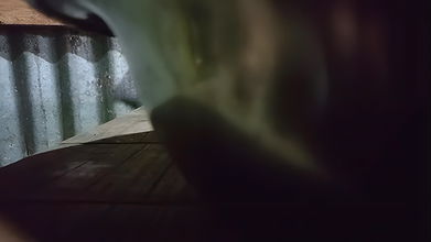 yours bhabhi I went to the kitchen and fucked