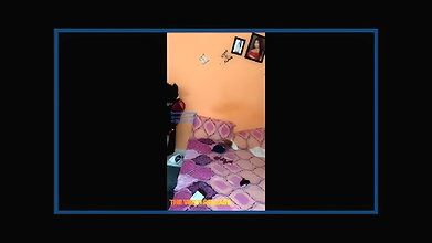 Bebo Tango(29.03.2021).