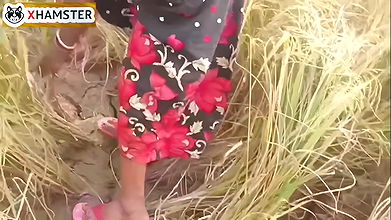 Bengal audio fucking in Paddy Field Nomita Bhabhi