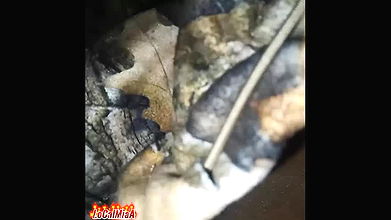 Sleeping bhabir sathe , fingering